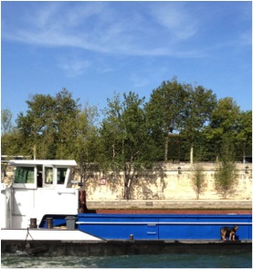 Paris from the Seine