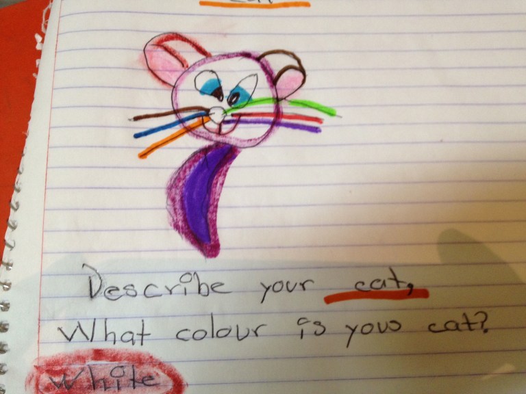 The Cat Has a Moustache