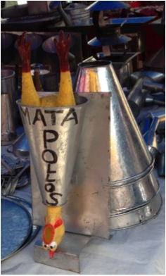 Tianguis in Tlacolula (Tlacolula Farmers' Market)