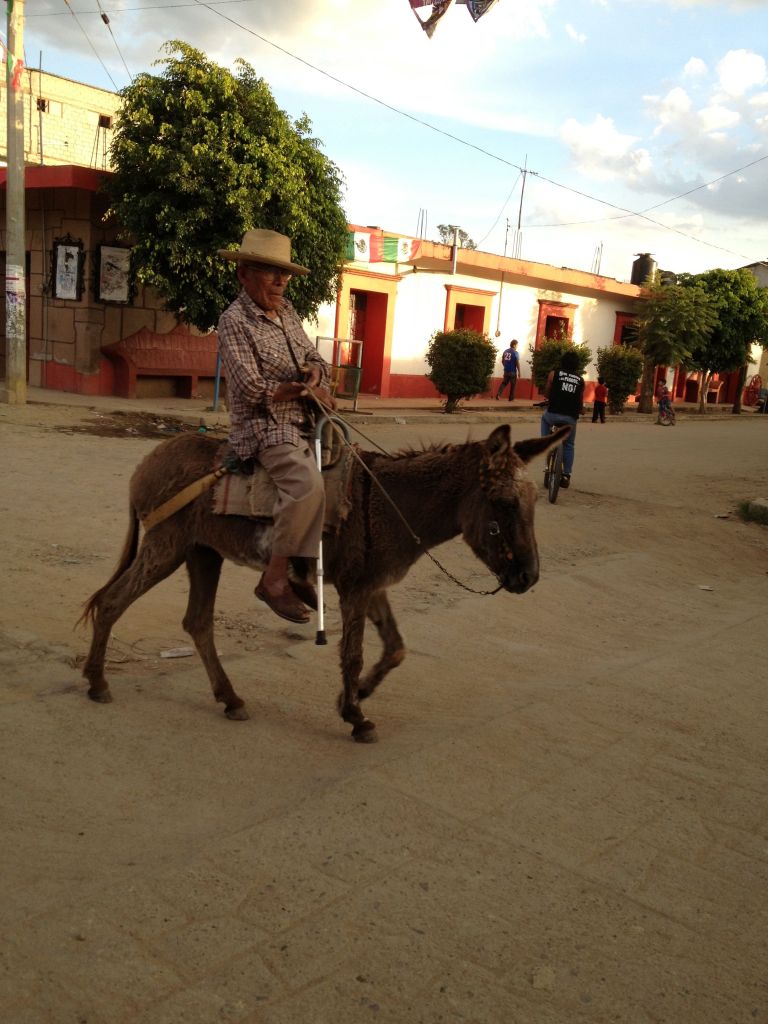 You Wouldn't See a Burro?