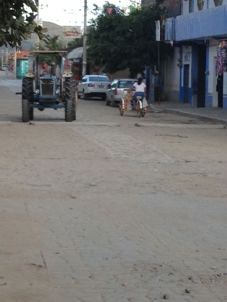 Traffic and Order in Tlacochahuaya