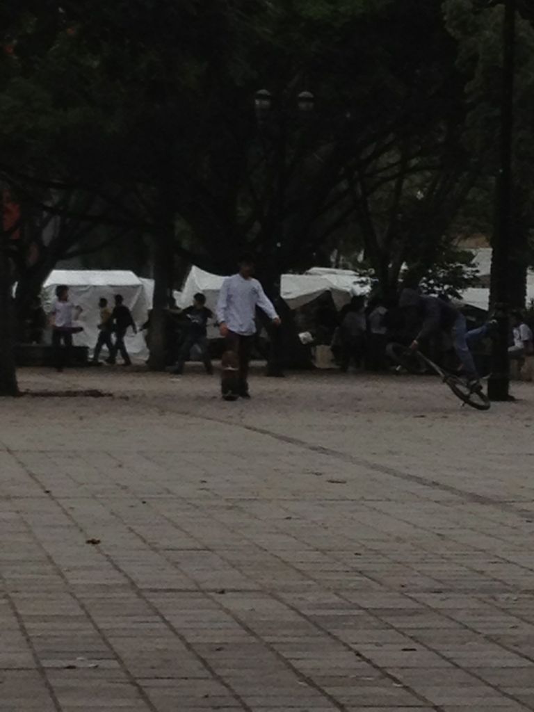 What I Got at the Tianguis