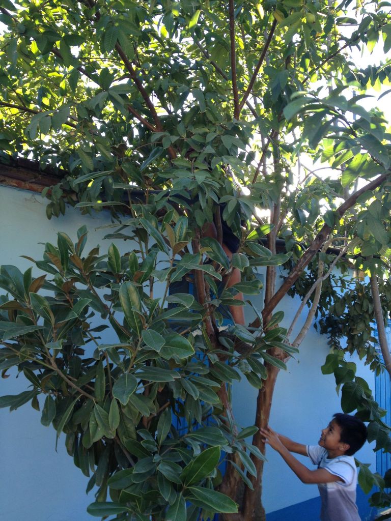 Good Afternoon, My Name Is...