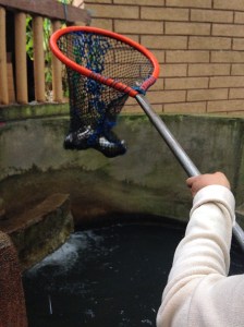 fishing