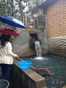 fishing3
