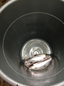 fishing5