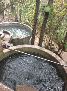 fishing7