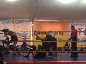 luchalibre4